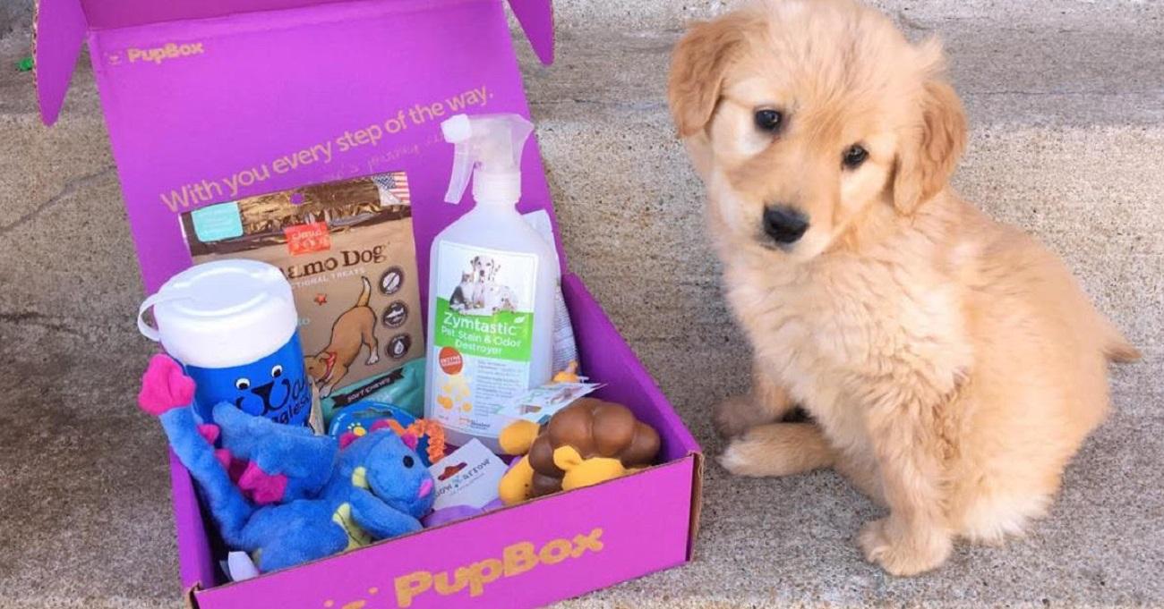 puppy subscription box