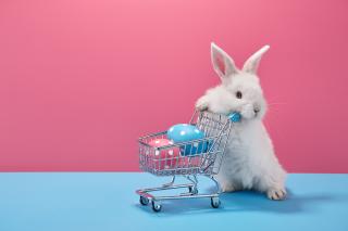 A bunny pushes a small shopping cart with eggs decorated for Easter inside it.