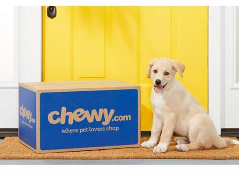 Chewy Takes a Big Bite of Pet Sales in Q1