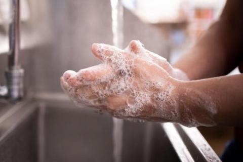 Sanitation Guide for Food Retailers