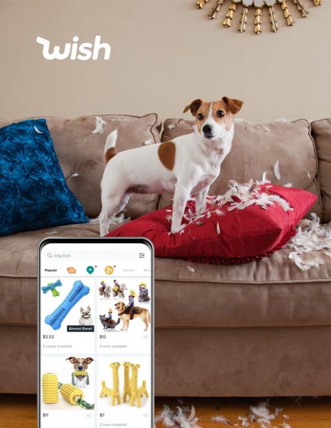 Can Wish Use Online Discounts to Snag Big IPO?