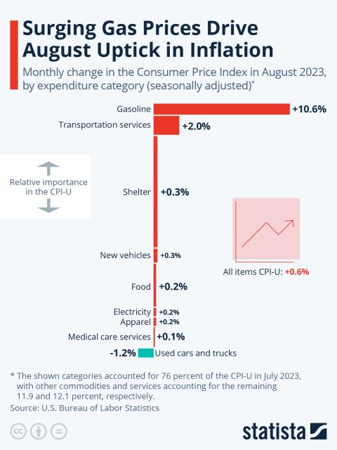 Statista inflation chart