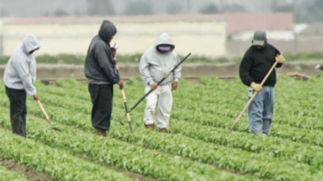 A Coronavirus Food Crisis?