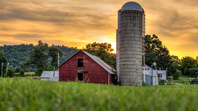 Tractor Supply Co. Raises Bar for Sustainability