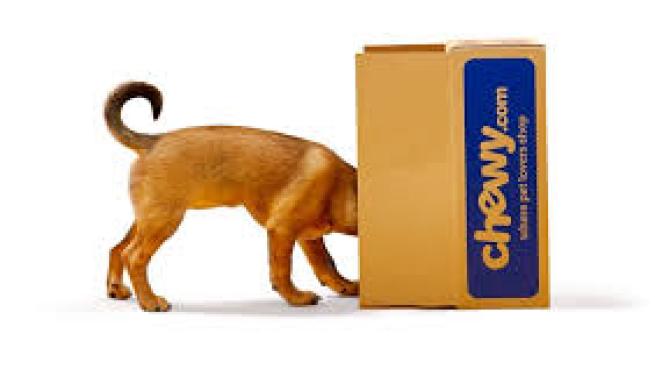 chewy pet meds